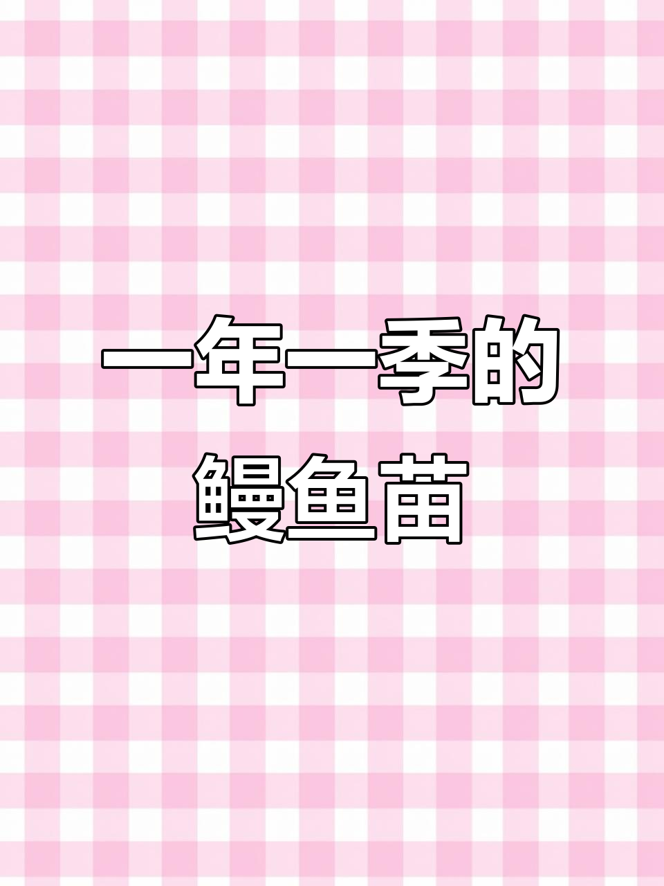 鳗鱼苗捕捞季节来临,渔民辛苦劳作捕捉小生命