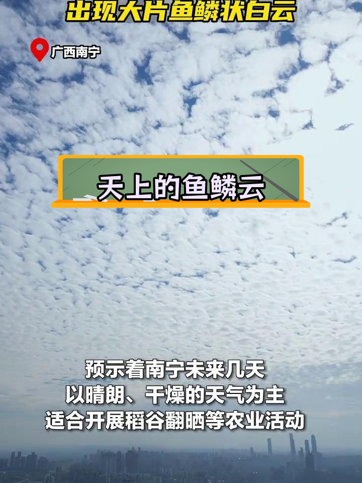 广西天空的美丽鱼鳞斑