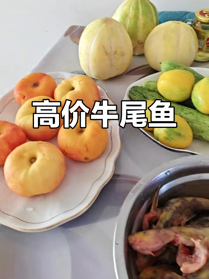 女儿买的牛尾鱼,价格不菲,20元一斤!