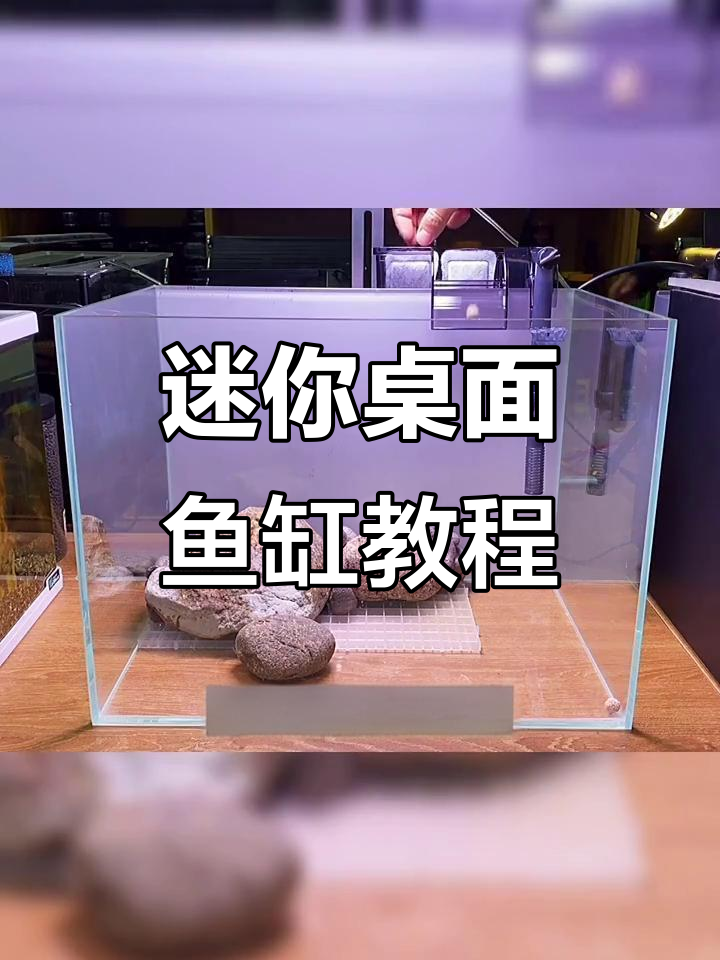 小型桌面鱼缸制作全攻略，轻松打造迷你瀑布景观