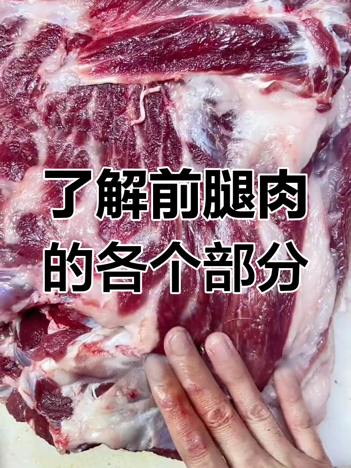 前腿肉部位全解析,教你如何挑选优质猪肉