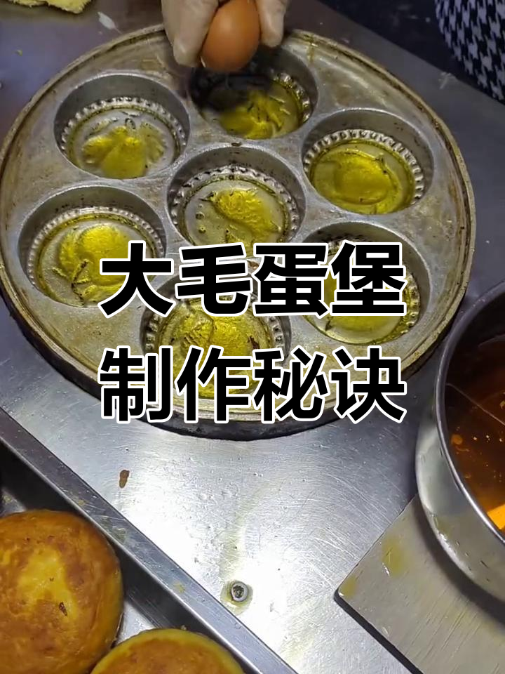鸡蛋汉堡锅使用技巧大揭秘,如何避免凉了二次加热?