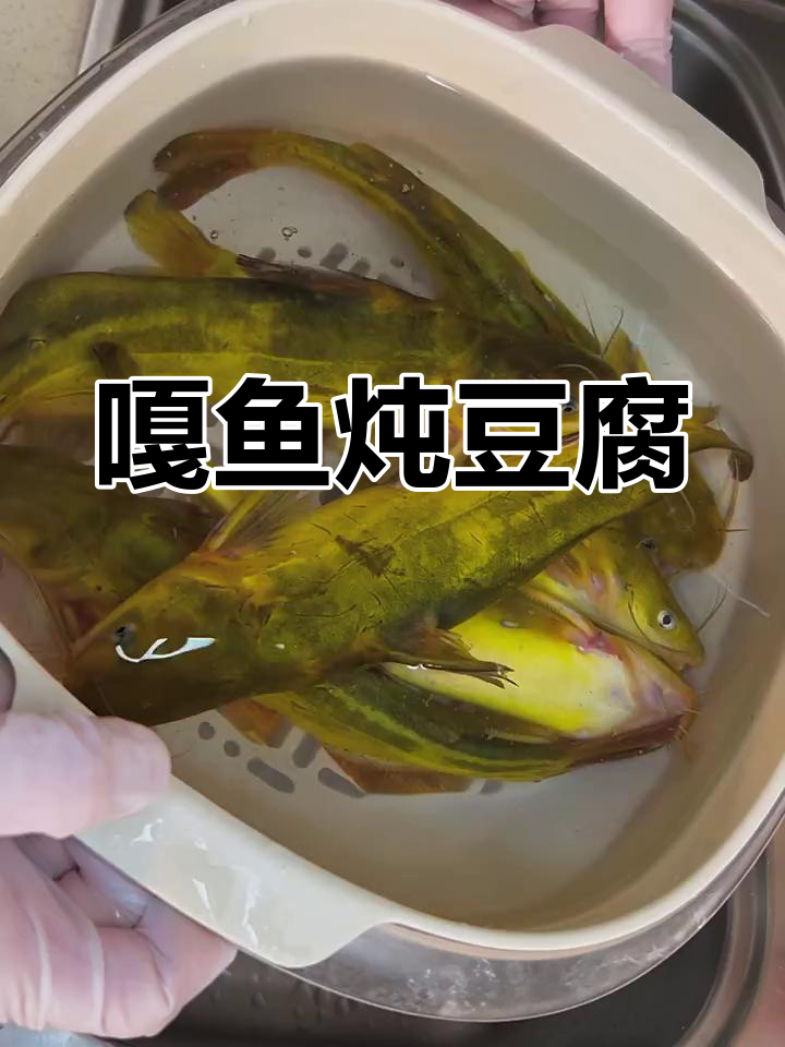 嘎鱼炖豆腐,鲜香十足的晚餐做法
