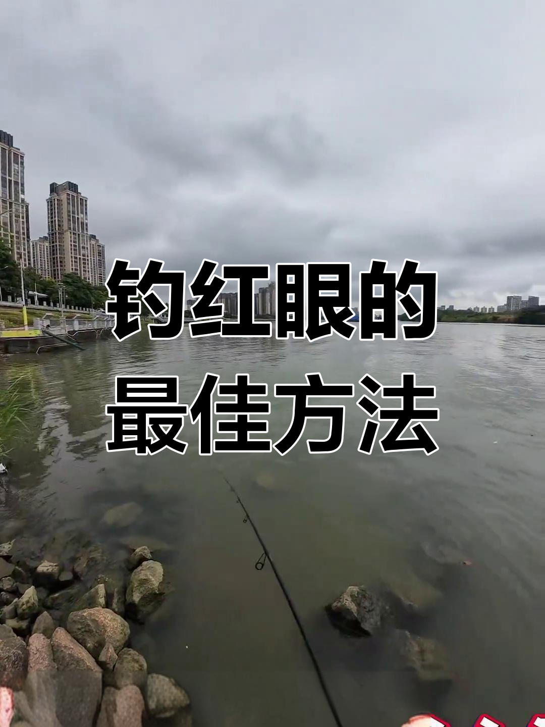 红眼赤鳟钓鱼技巧:了解习性、选择饵料
