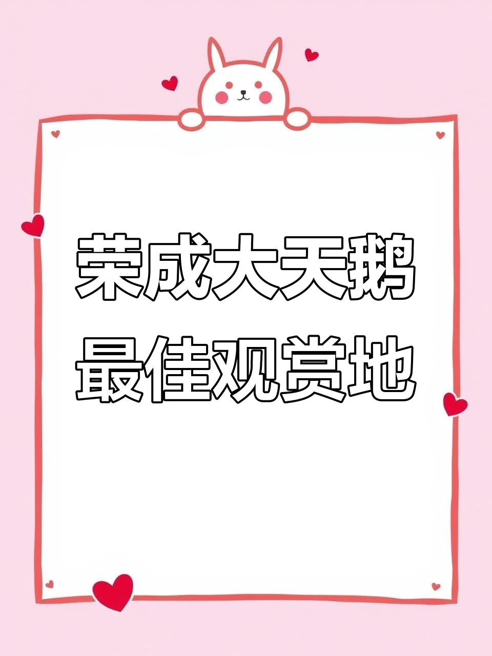 荣成天鹅湖:冬季奇观,哪个观赏点最美?
