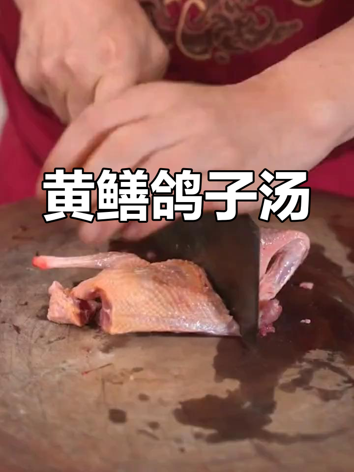黄鳝与鸽子炖汤,鲜美无比,堪称滋补佳品!