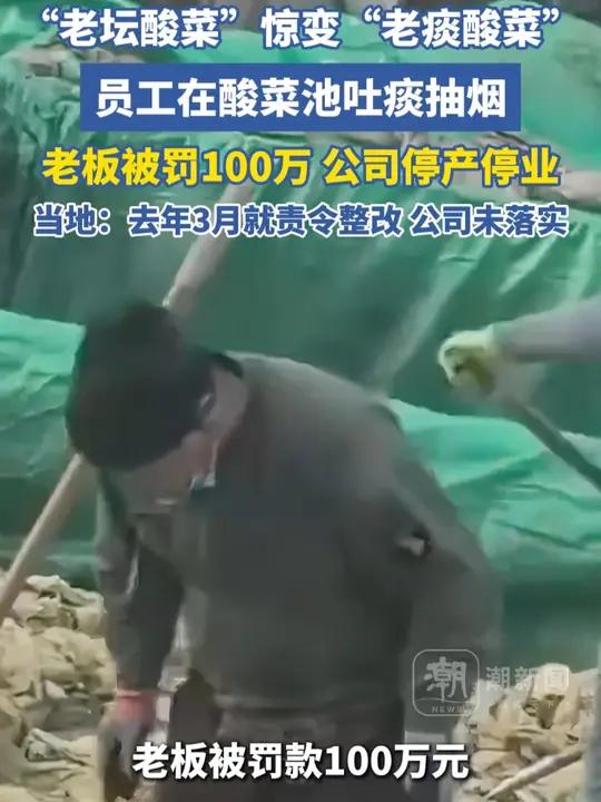 “老坛酸菜”惊变“老痰酸菜”,员工在酸菜池吐痰抽烟,老板被罚100万,公司停产停业。当地: