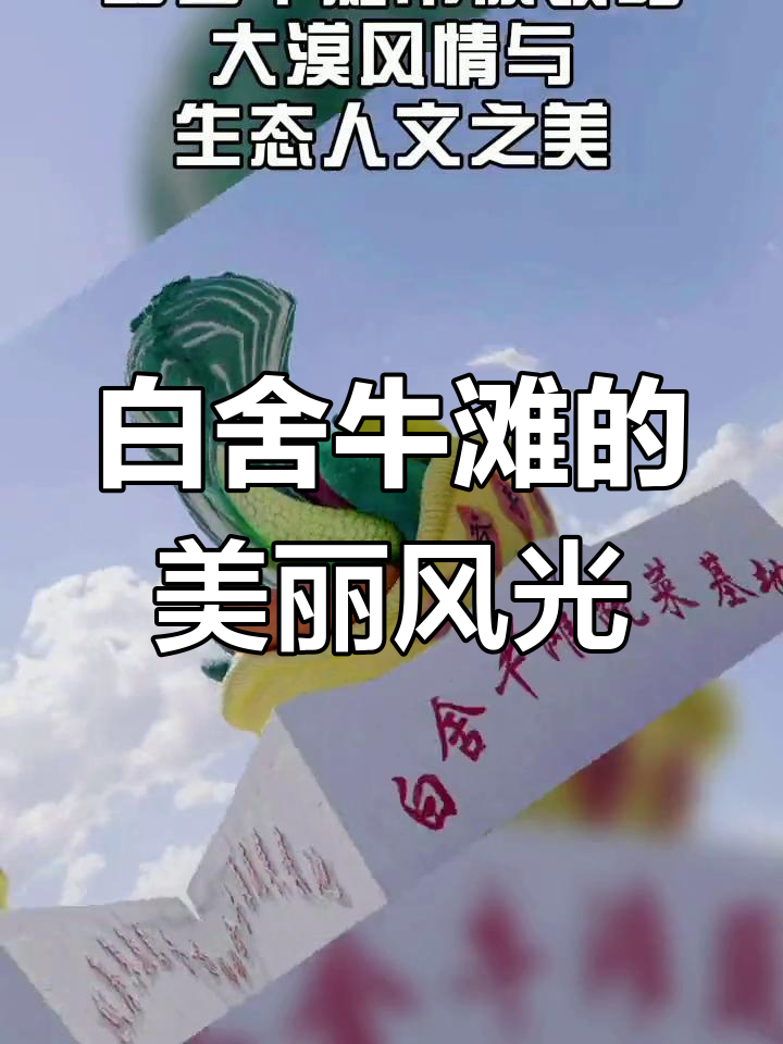 探秘白舍牛滩:沙漠中的绿色奇迹