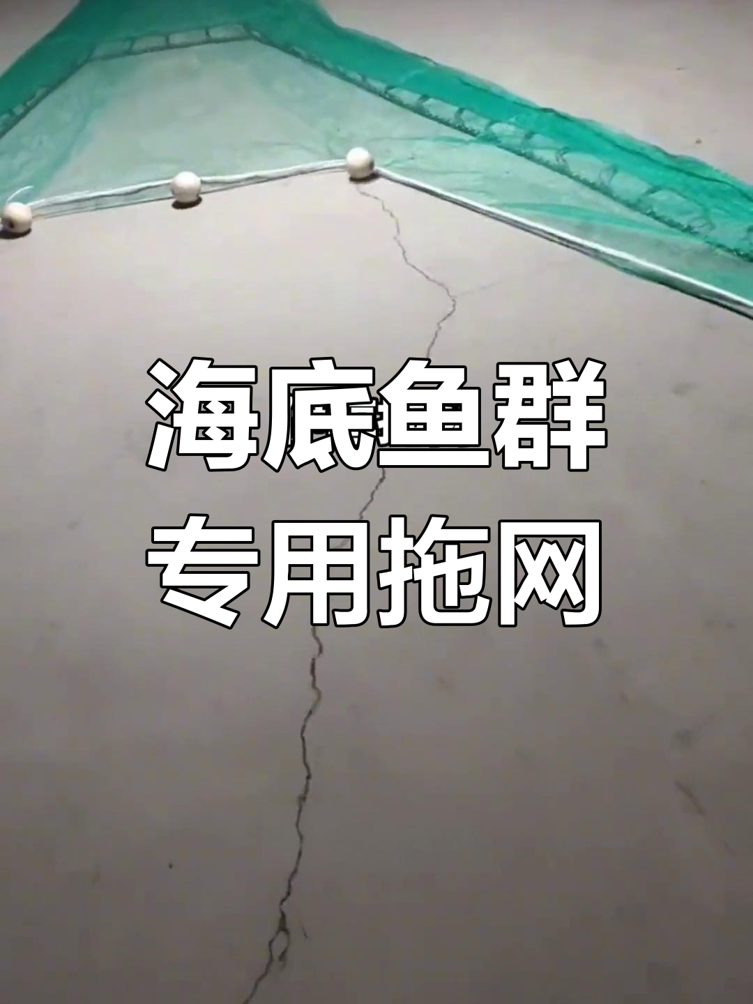 适合沙底的海鲜拖网,海螺皮皮虾等一网打尽