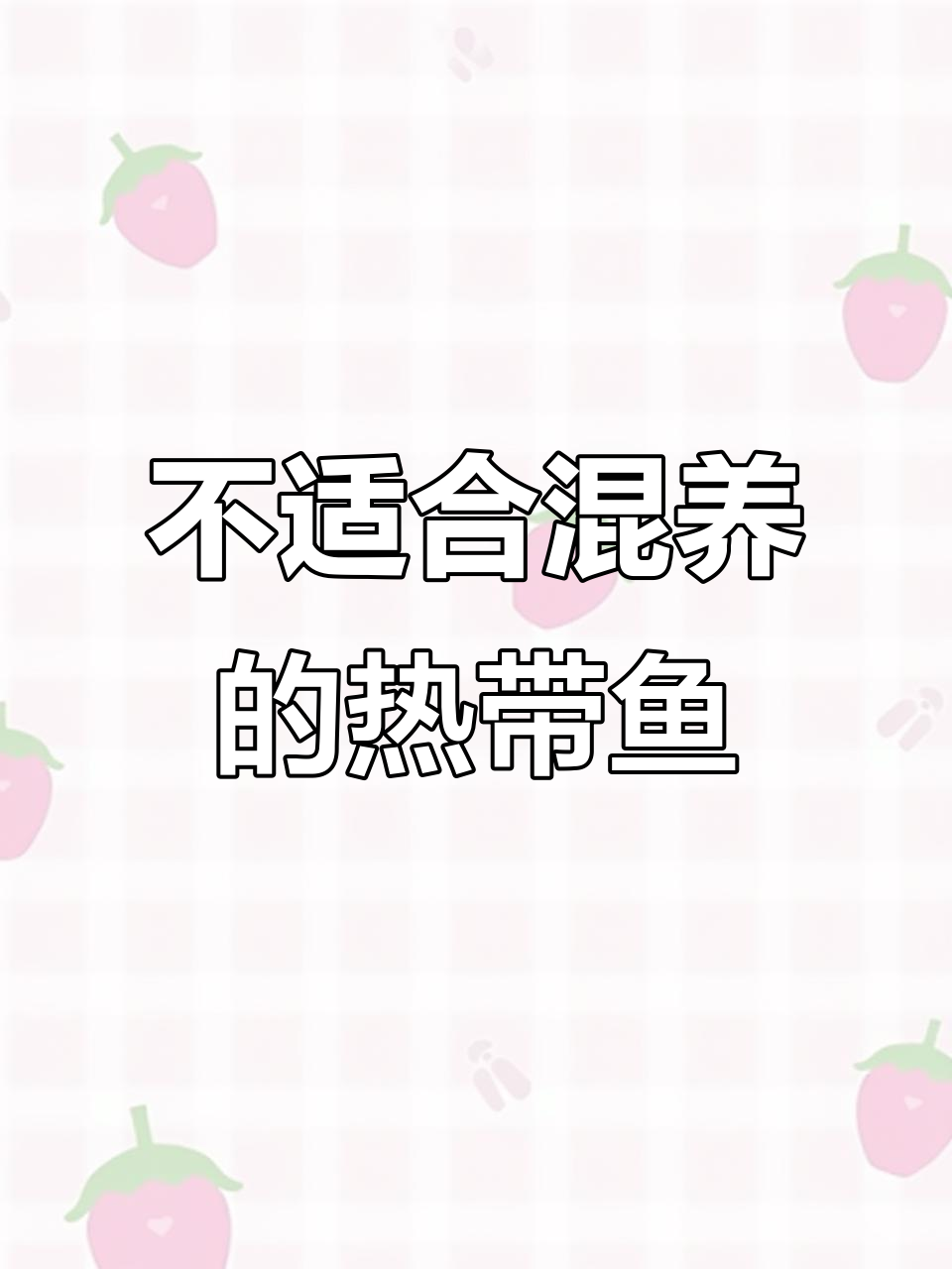 8种不适合混养的观赏鱼，你养过几种？