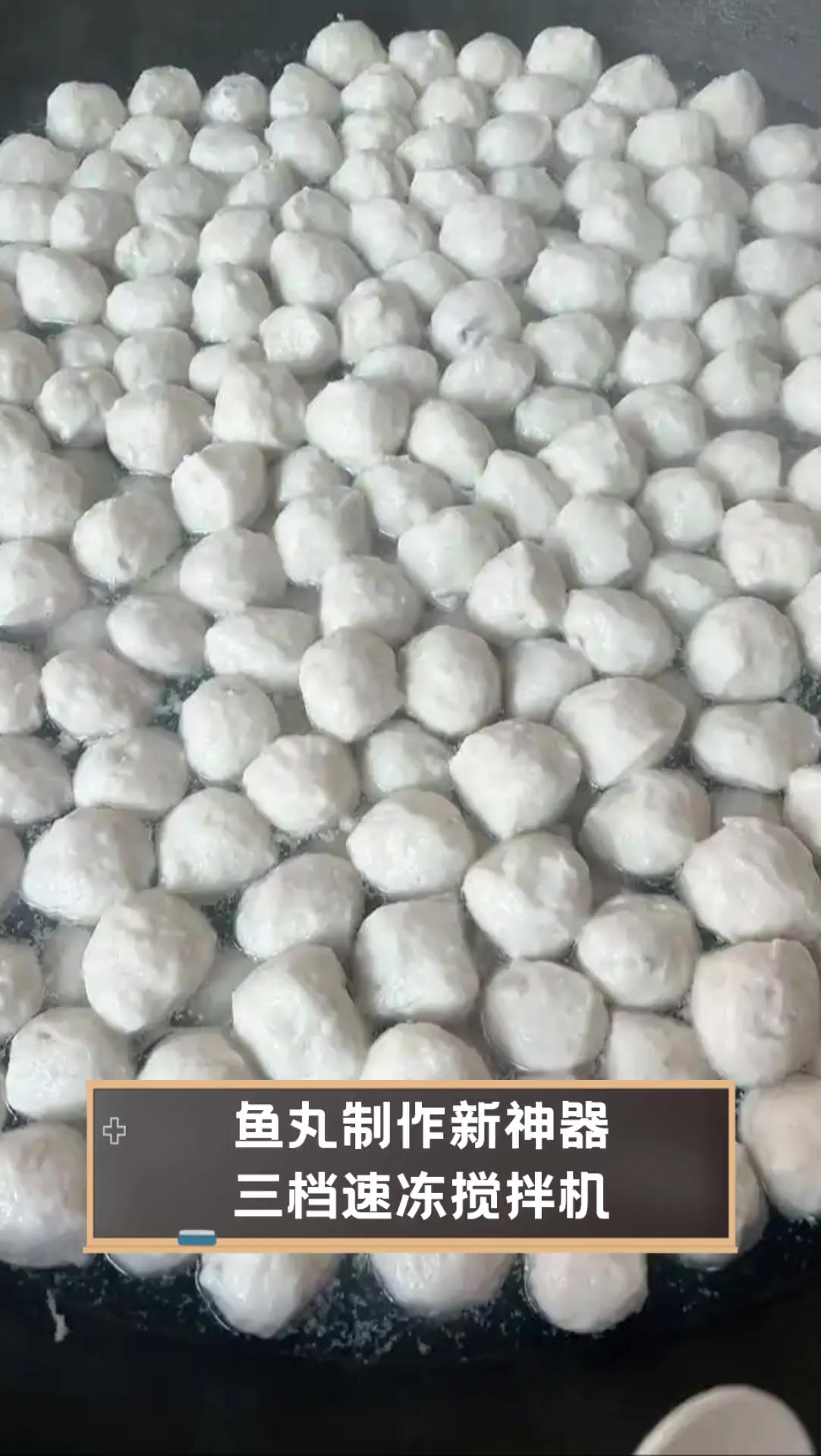 鱼丸制作新神器,三档速冻搅拌机