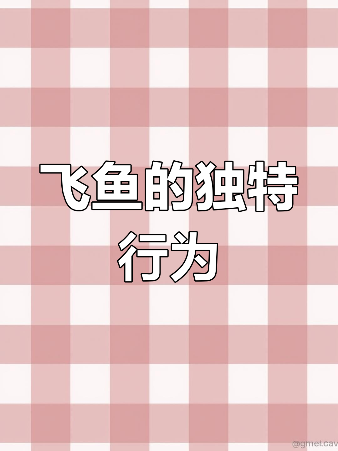 鲱鱼放屁的秘密