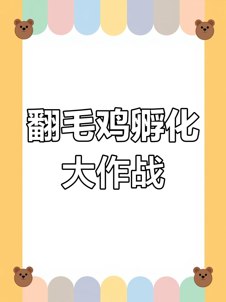 波兰翻毛鸡孵化挑战,十颗种蛋能孵出多少只?