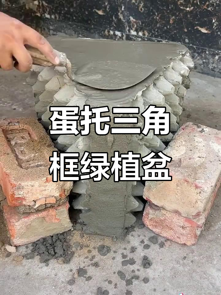 用废鸡蛋纸托做绿植盆栽，简单又环保