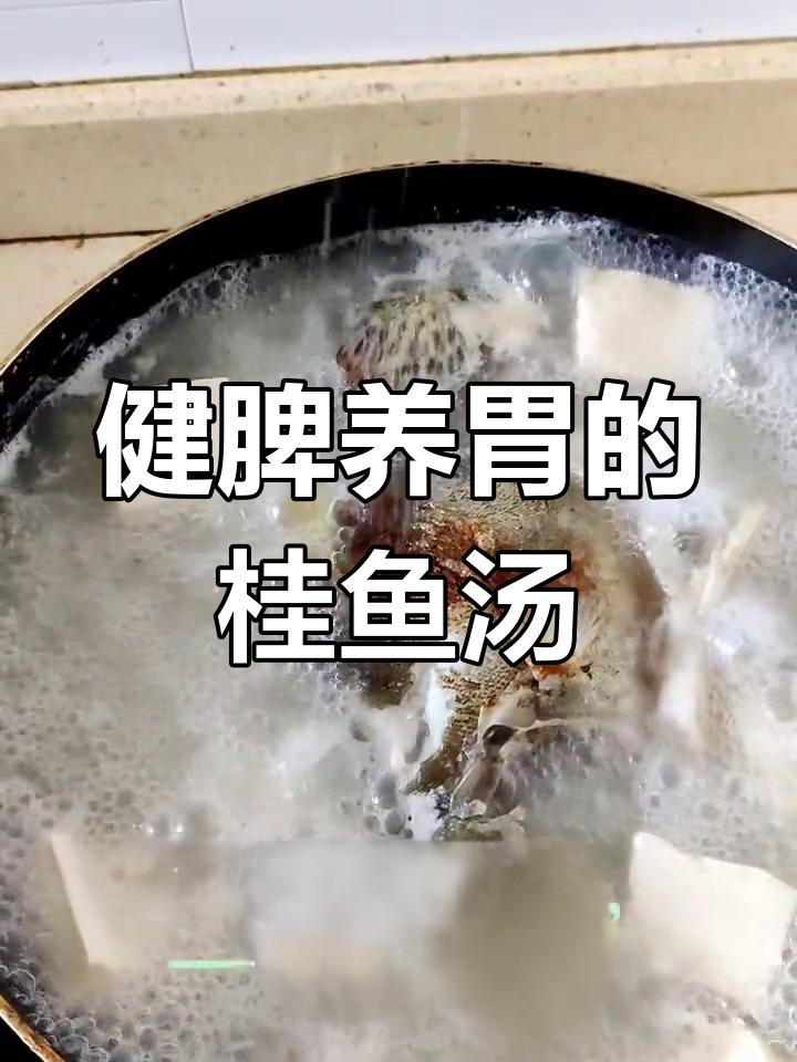 桂鱼豆腐汤,营养美味又养胃