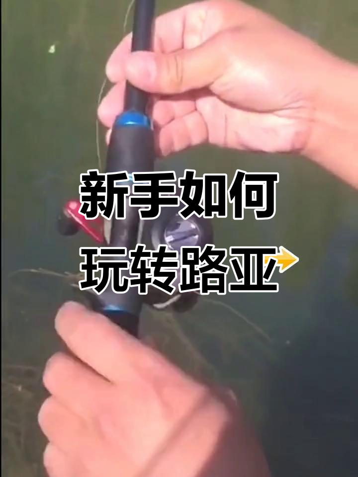 新手路亚入门全攻略:纺车轮、鱼竿选择与技巧