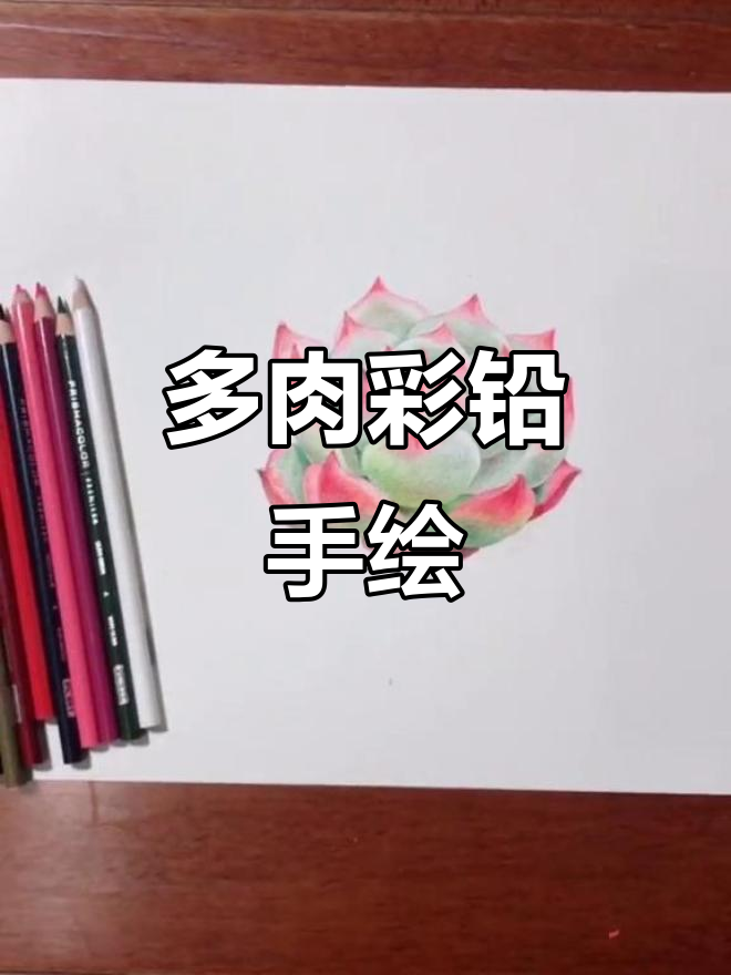 彩铅绘制多肉植物,星星点点笑意满满