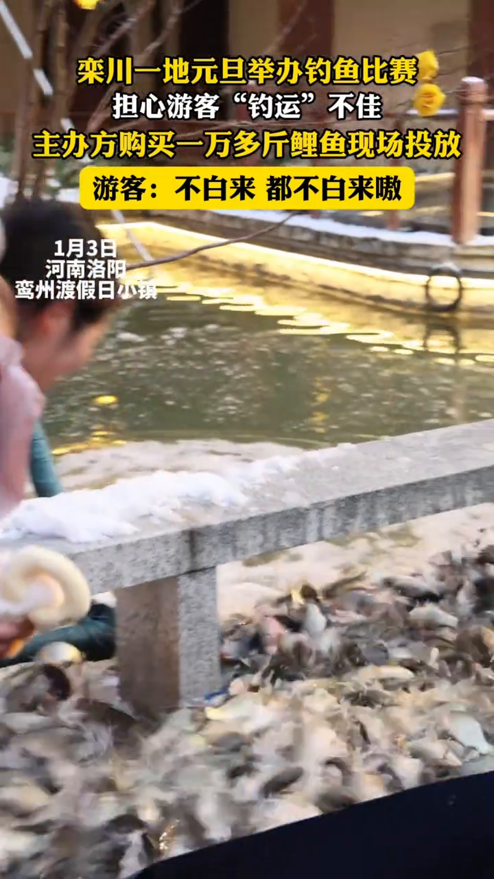 钓鱼比赛担心游客“钓运”不佳,主办方购买一万多斤鲤鱼现场投放