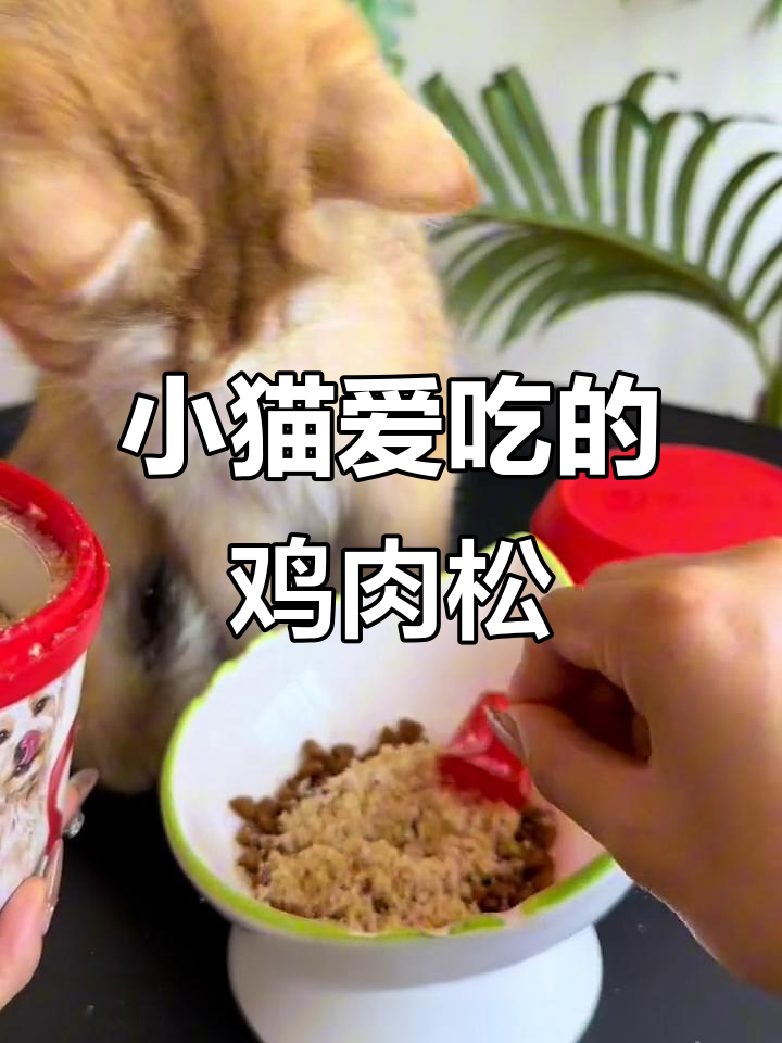 这款鸡肉松让挑嘴小猫食欲大增,营养满满