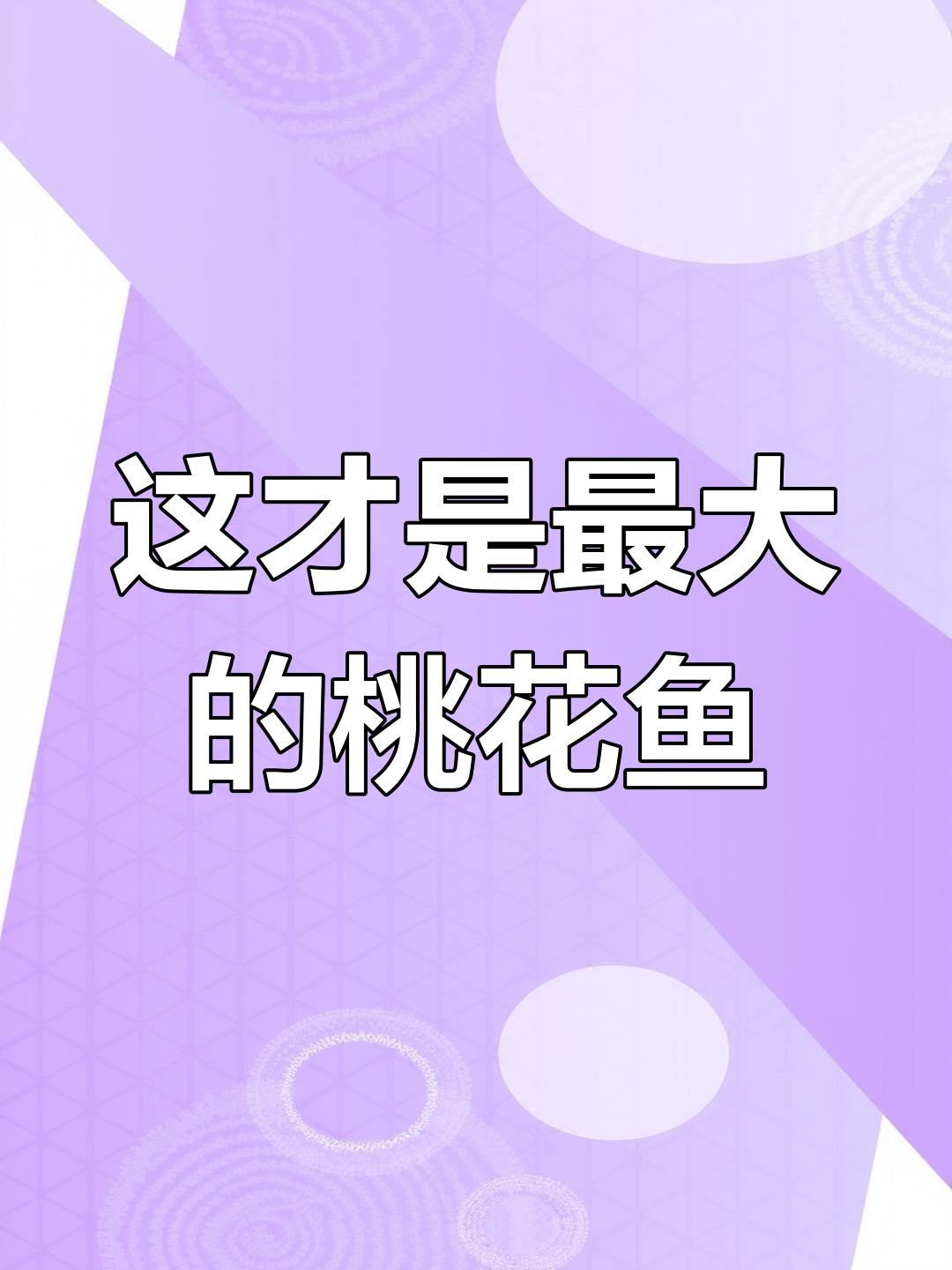 见过这么大的桃花鱼吗?简直惊呆了!