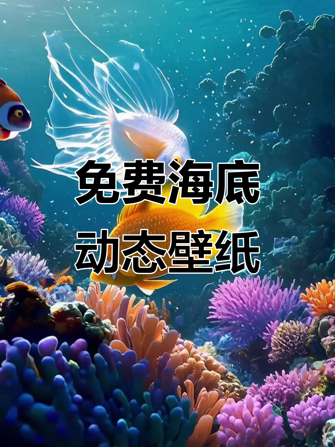 海底世界动态壁纸，免费解压享受