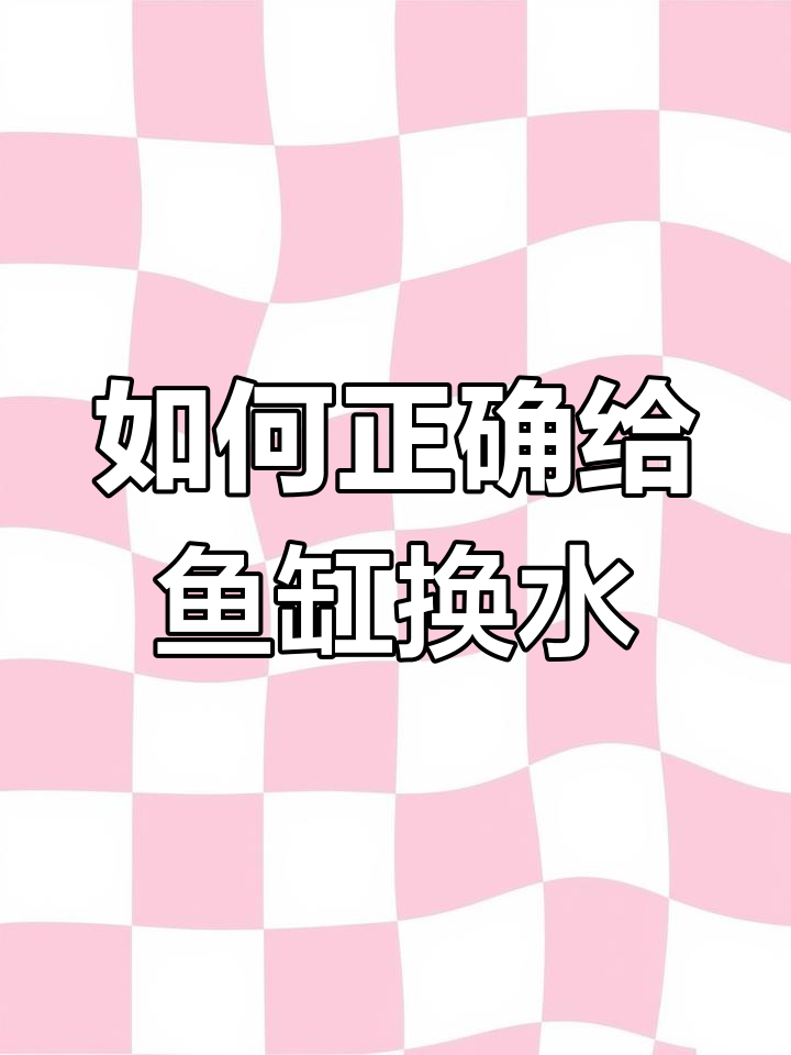 鱼缸换水误区:自来水能直接加吗?
