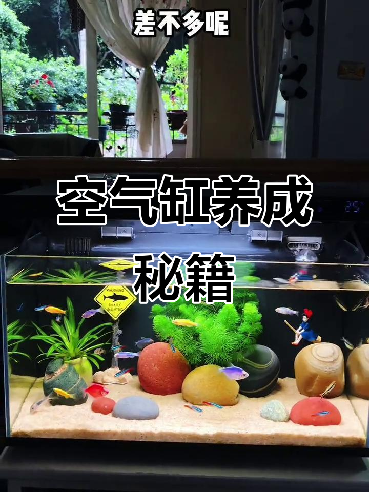小米鱼缸滤材更换全攻略,轻松打造清澈水族环境!