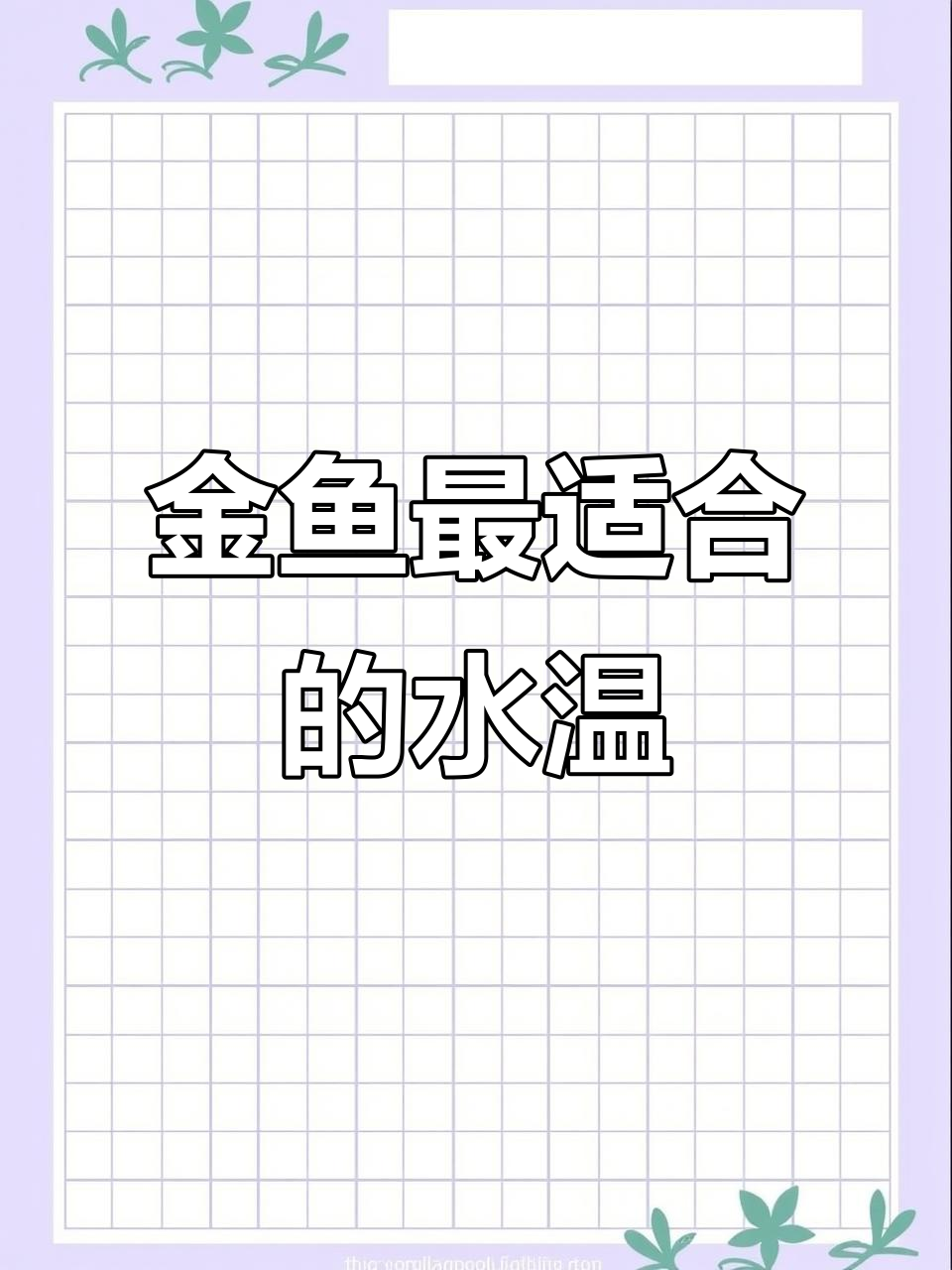 狮头金鱼成长最佳水温,16-27摄氏度最适宜