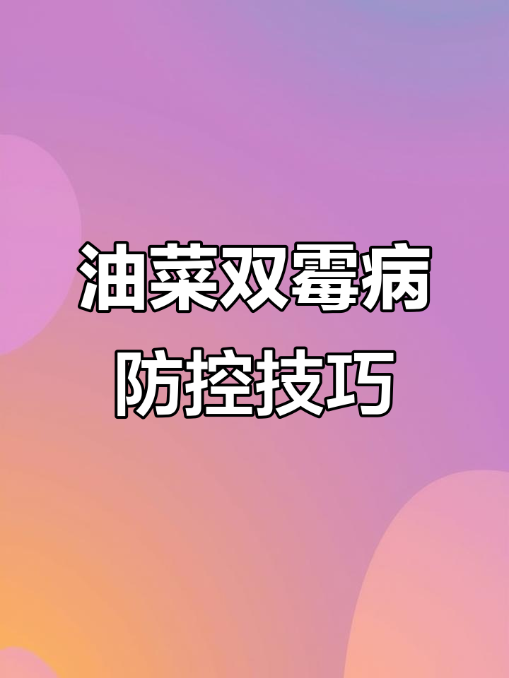 油菜霜霉病防治全攻略,常德科信农资小聂教你应对方法