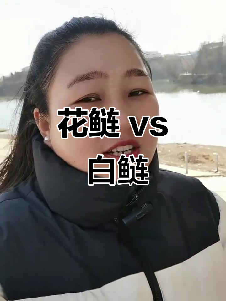 白鲢和花鲢,哪种更好吃?口感、肉质大比拼