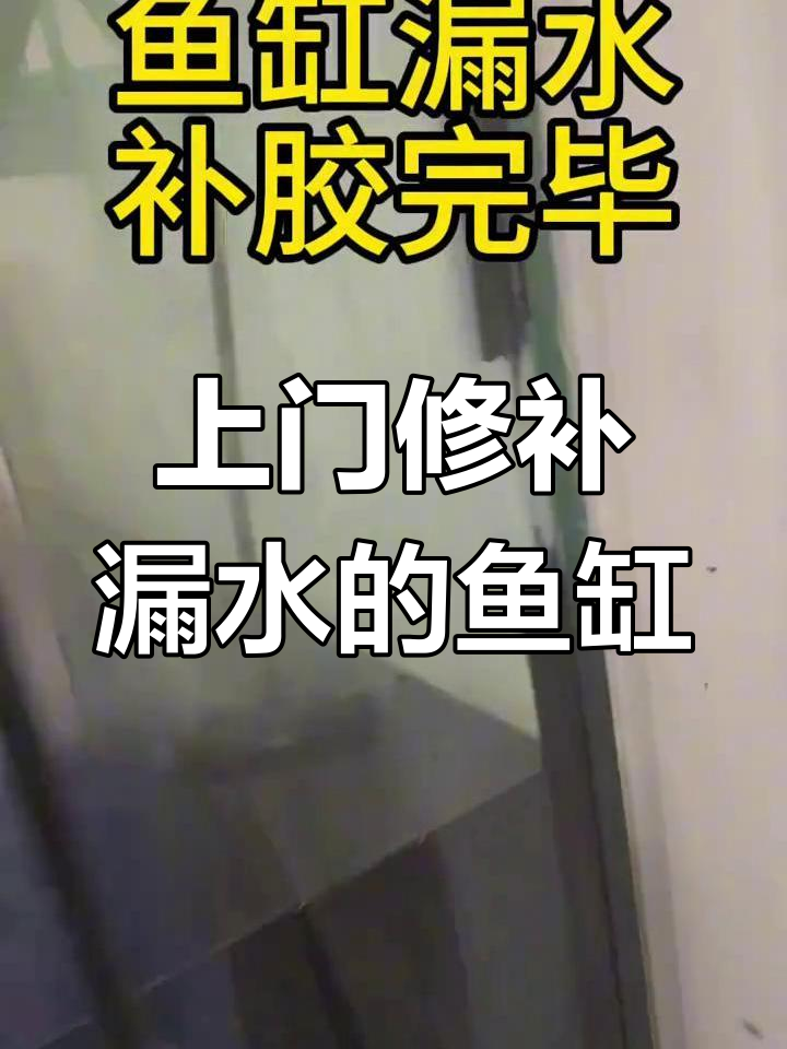 120×40鱼缸漏水维修,上门补胶轻松搞定