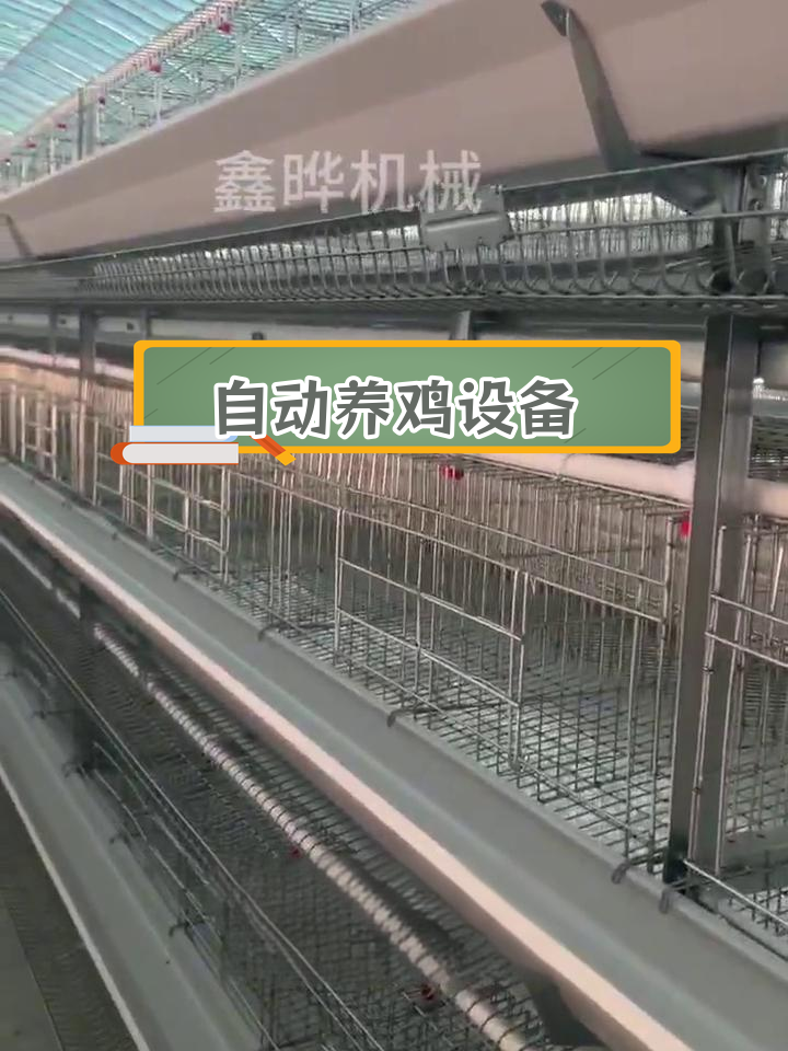 自动化养鸡设备全套介绍