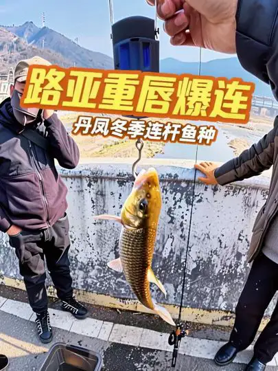 野钓，最易连杆的鱼种竟是重唇鱼！