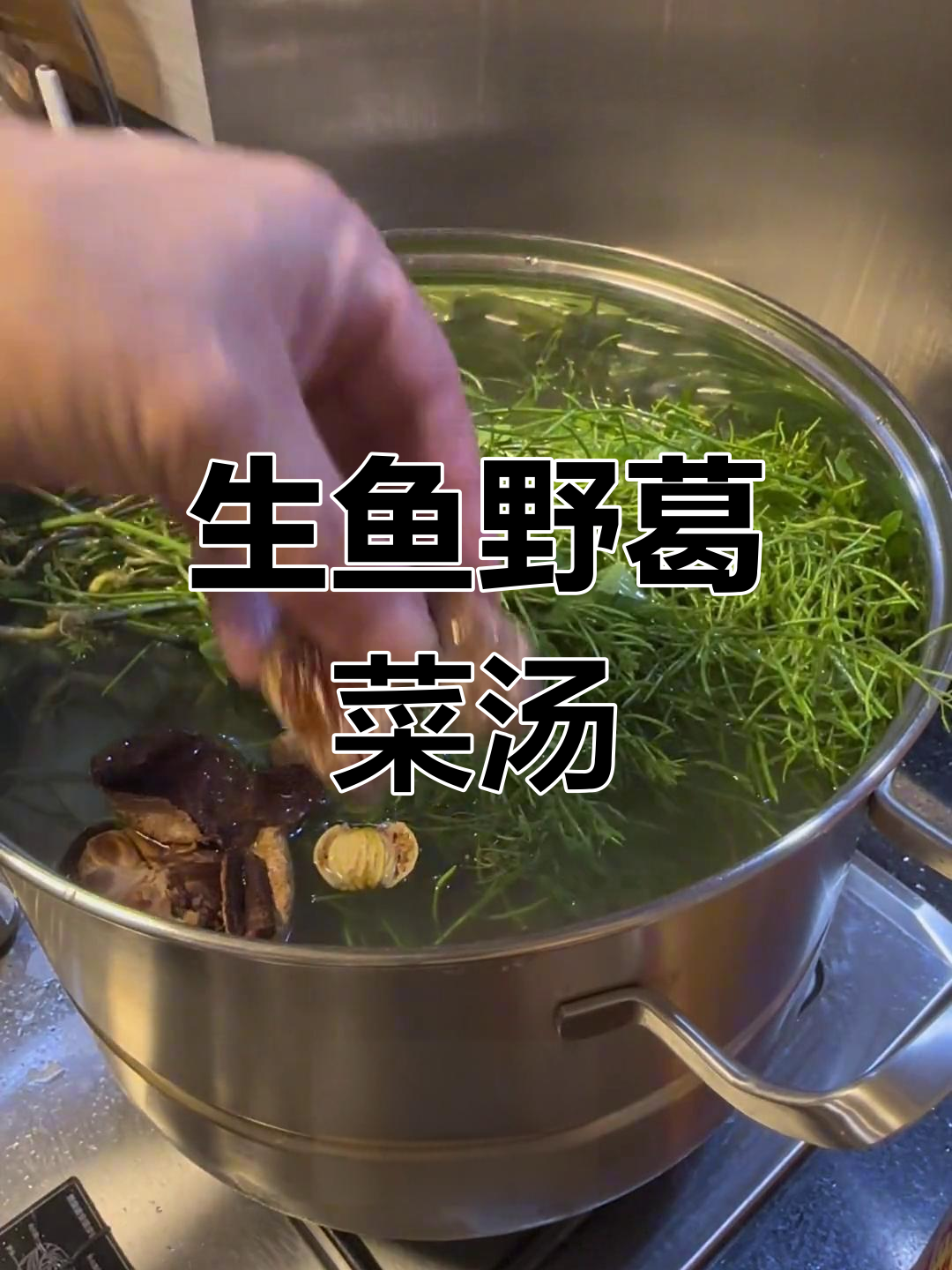经典广东汤品:野葛菜粉葛生鱼煲,清热去湿