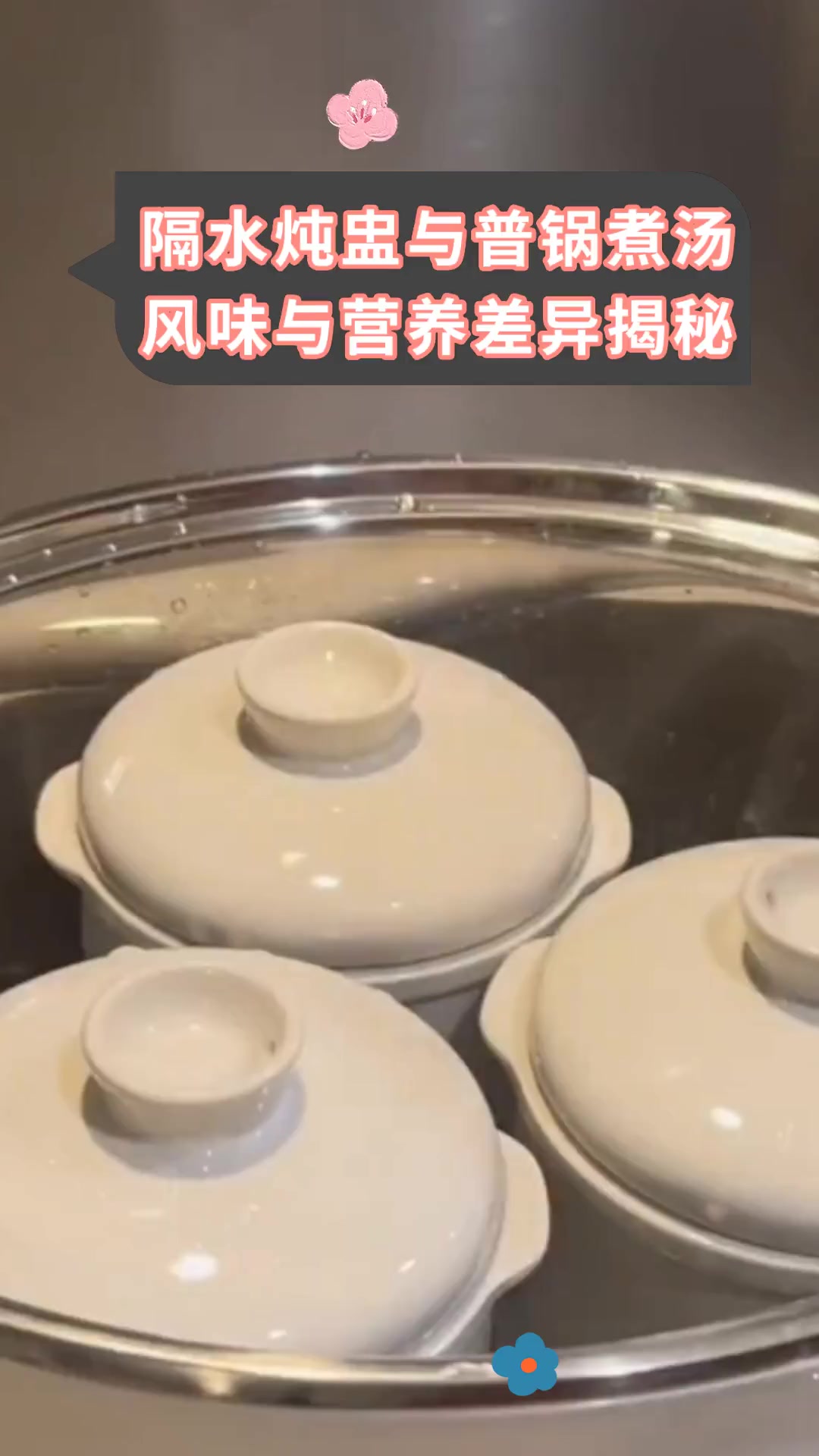 隔水炖盅与普锅煮汤风味与营养差异揭秘