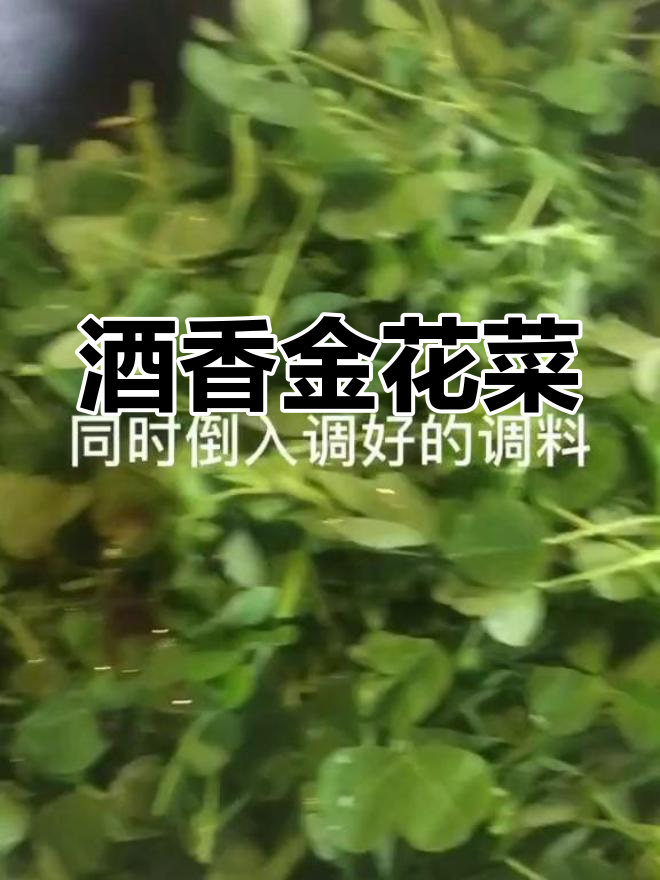 酒香金花菜,南方人最爱的草头美味