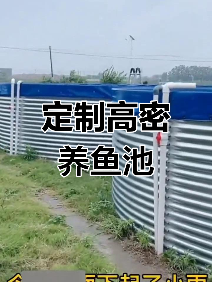 高密度养殖鱼池设计与排水系统解析