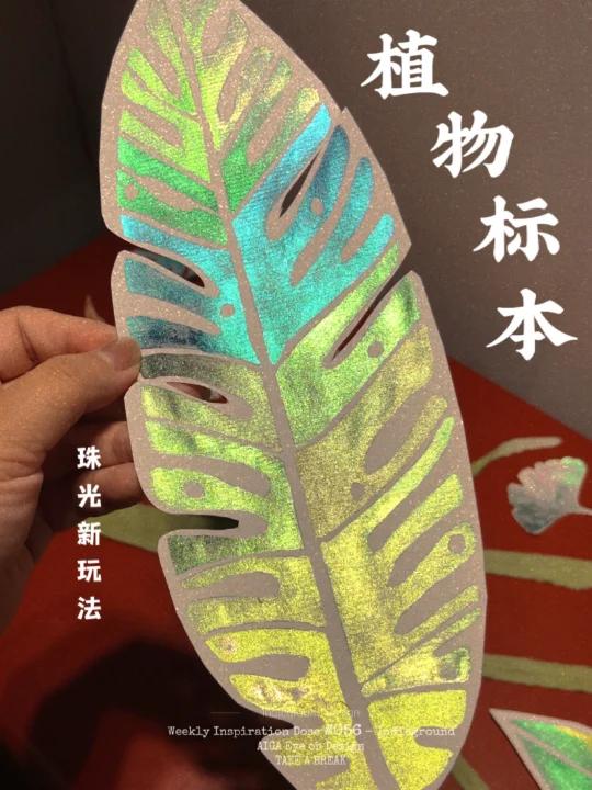 珠光水彩|徒手画植物标本也太治愈了