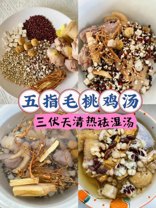 三伏天应季汤清热祛湿五指毛桃鸡汤!