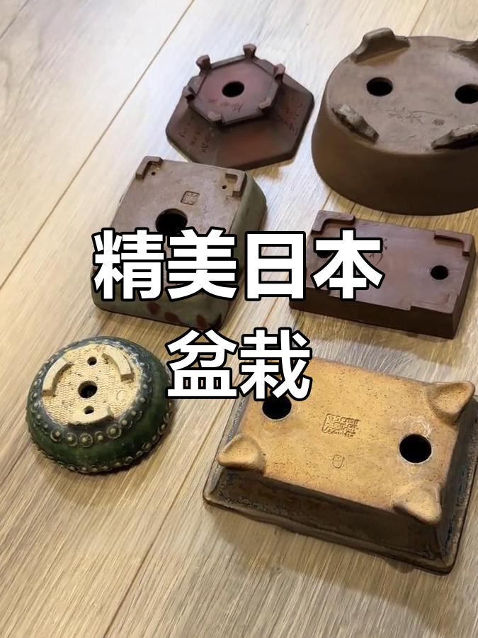 日本顶级盆景花盆,精致工艺传承