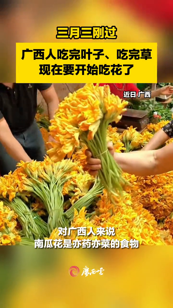 以花入馔,是属于广西人的风雅!