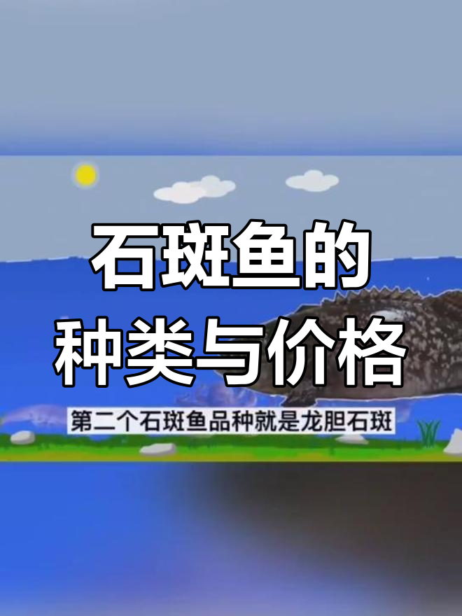 了解三种顶级石斑鱼品种