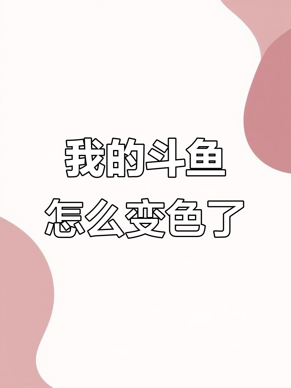 斗鱼褪色成这样,原来是这个原因!