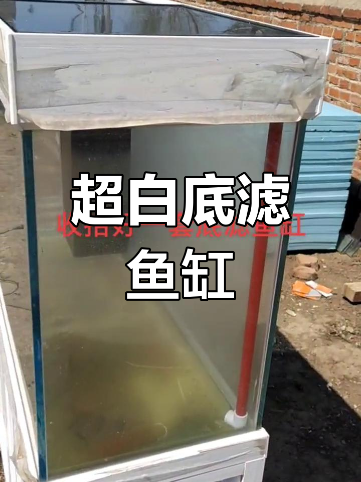 打造1米底滤鱼缸,超白铝板设计,精致又实用