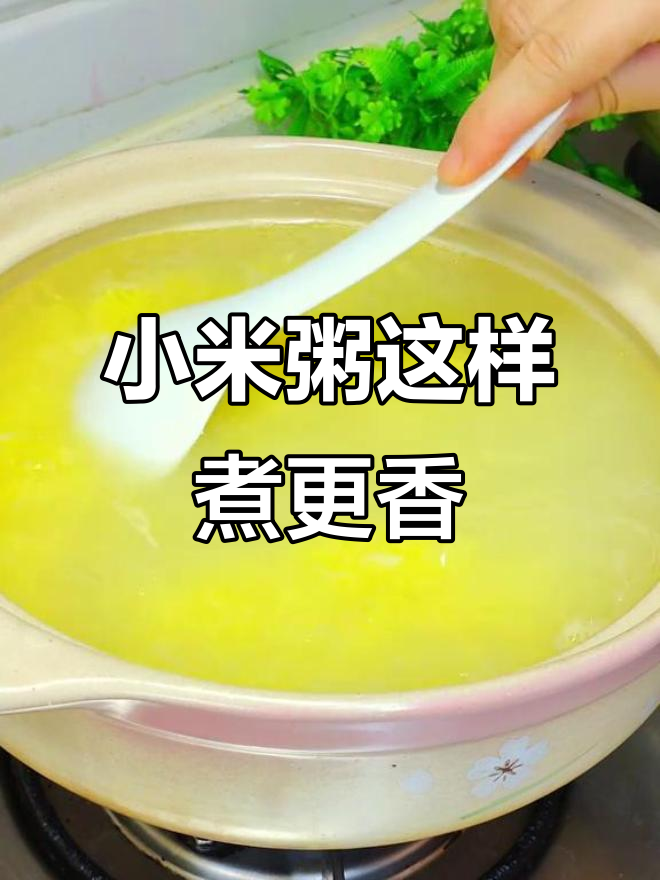 煮小米粥的技巧:牢记4放1不放,营养又美味