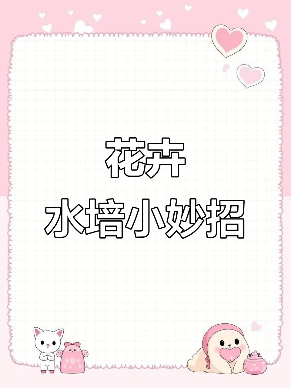 水培植物必备营养液,轻松解决黄叶掉叶问题
