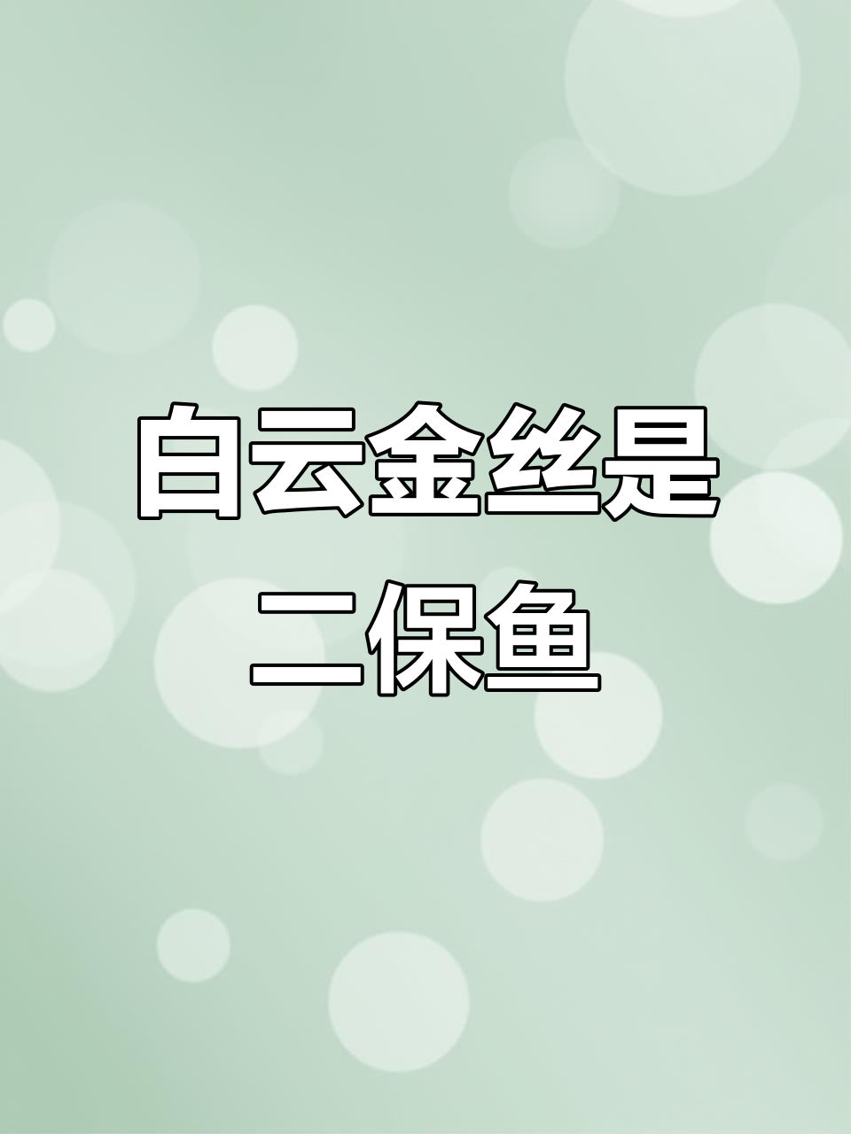 白云金丝:鲤科小鱼竟是二级保护动物,人工养殖也能有