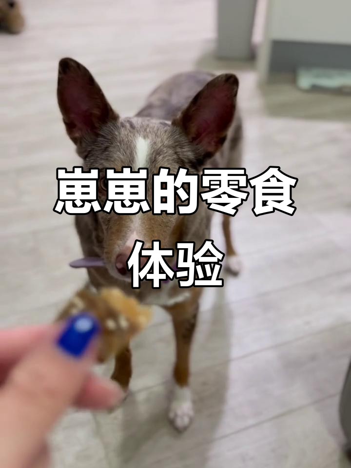 崽崽零食大试吃,甜甜圈、鸭掌样样来!