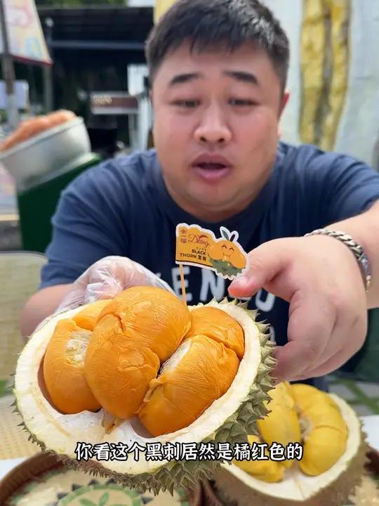 来马来西亚吃吃新鲜猫山王黑刺榴莲是什么感受