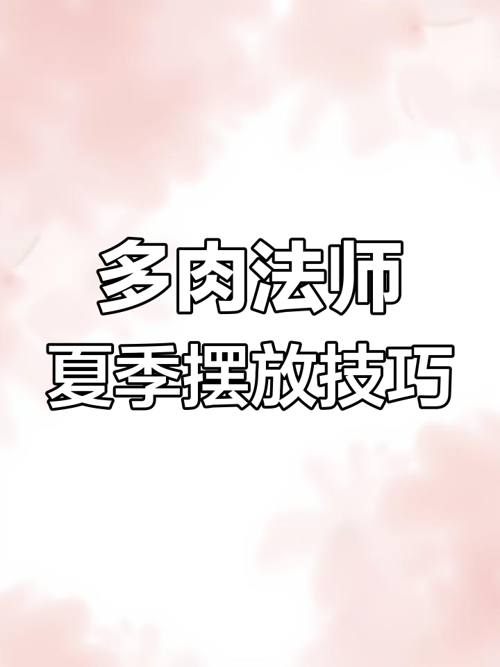 夏季多肉法师养护秘籍:放对位置,避免高温暴晒
